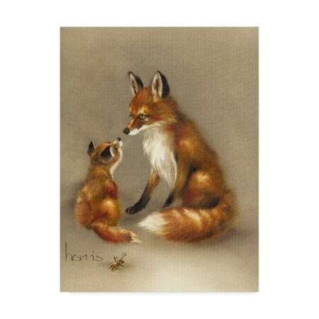 Peggy Harris 'Little Fox Lost' Canvas Art,18x24